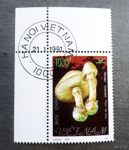 Марка Вьетнам 1991 год Грибы