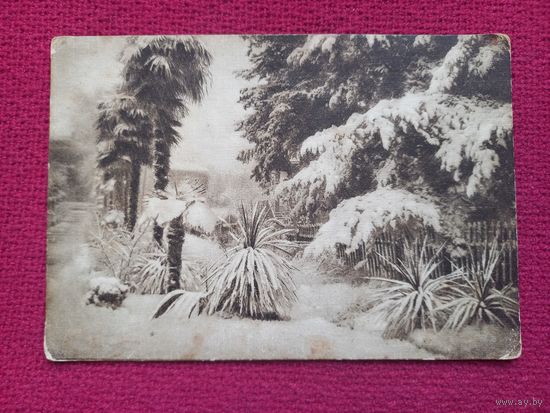 Сочи. Зима. 30 г. Чистая.