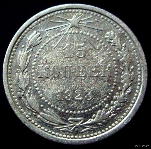 15 копеек 1923 (5)