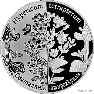 Зверобой четырехкрылый. Возрожденные растения, 1 рубль 2014