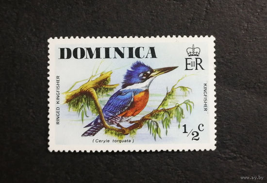 Доминика 1976 г. Дикие Птицы. Фауна, 1 марка. Чистая #0241-Ф1P46