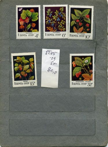 СССР, 1982, ДИКОРАСТУЩИЕ ЯГОДЫ,  серия 5м ,  (справочно на "СКАНЕ" приведен цены и номера по Загорскому)