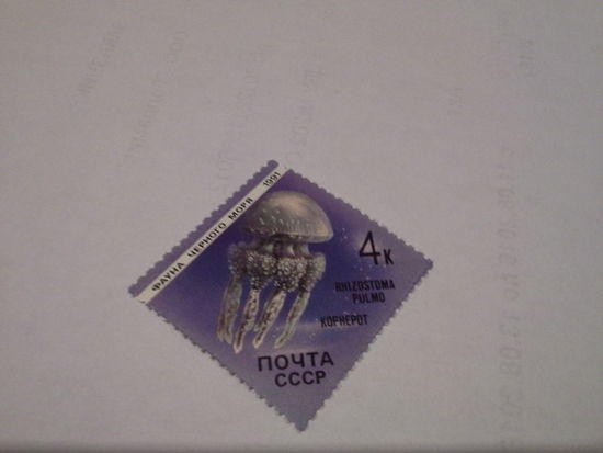 СССР 1991 медуза