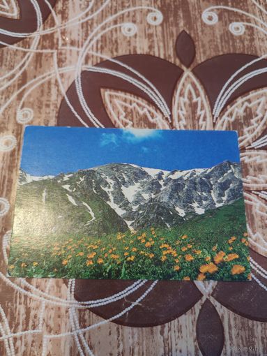 Календарик,природа,1993