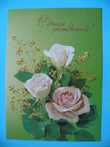 Дергилев И.(фото), С днем рождения! 1991, чистая.