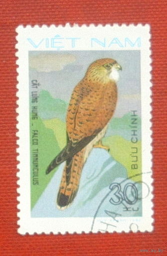 Вьетнам. Птицы. ( 1 марка ) 1982 года. 11-4.