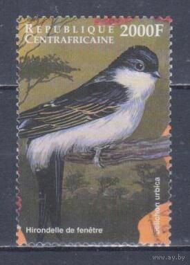 [441] ЦАР 1999. Фауна.Птицы.Ласточка. Высокий номинал.Гашеная марка из блока. Кат.гаш.7,5 е.