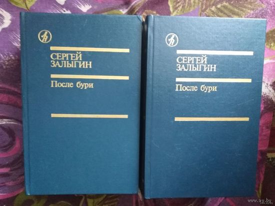 Залыгин, После бури