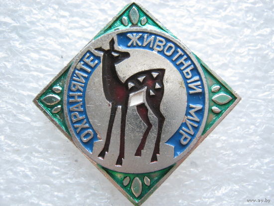Охраняйте животный мир.