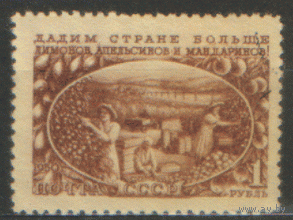 Заг. 1533. 1951. Сбор цитрусовых. гаш.