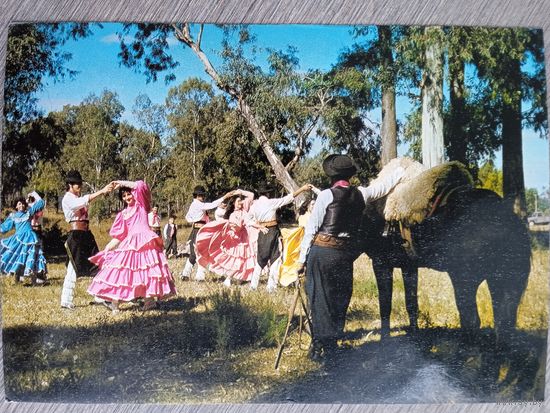 Этнография. Бразилия, Рио Гранде До Сул. Традиционный танец региона