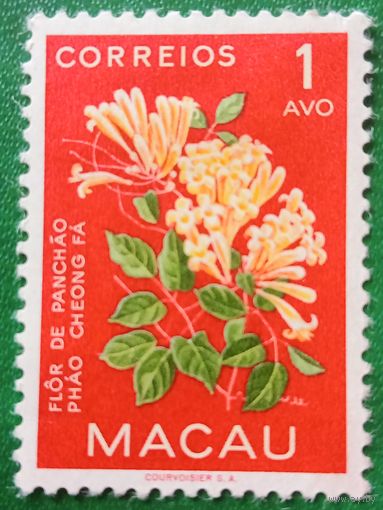 Макао. Флора. Phao Cheong Fa