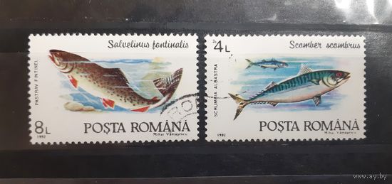 Румыния. 1992 год. Фауна. Рыбы (38)