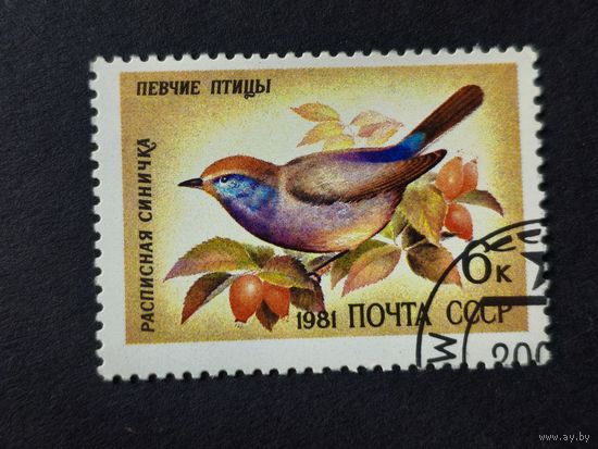 1981 СССР. Певчие птицы. Расписная синичка