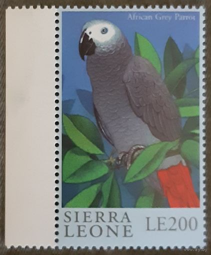 1992 Африканский серый попугай Сьерра -Леоне