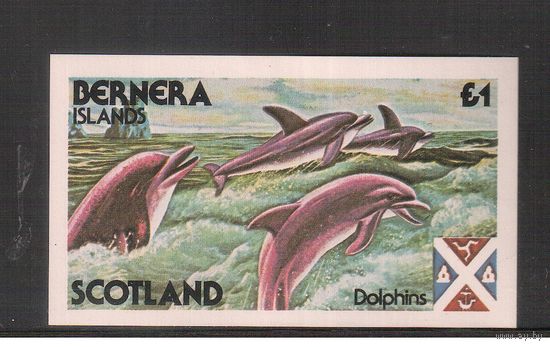 Бернера(Шотландские ос-ва)-1982 , ** , Морская Фауна,Дельфины