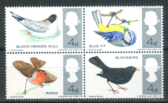 Великобритания - 1966г. - местные птицы - 4 марки - полная серия, MNH [Mi 425-428]. #3-GB-Z-1-17