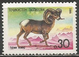 Таджикистан. Сайгак. 1992г. Mi#4.