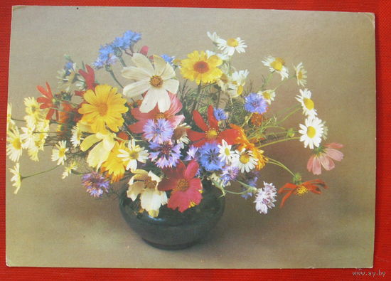 Композиция из цветов. Чистая. 1988 года. Савалов. 786.