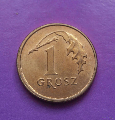 1 грош 2013 Польша #03