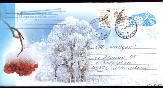 2007 год З Новым Годам! Ветка рябины 941