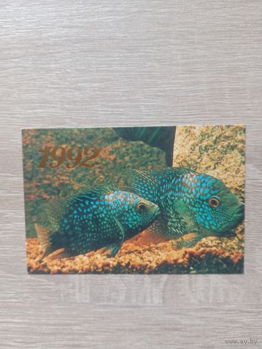 Календарик 1992