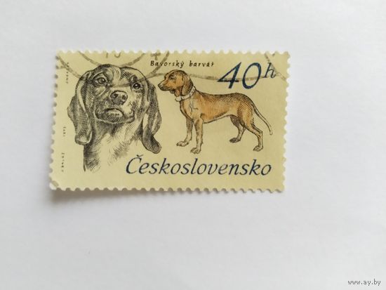ЧССР  1973 собаки