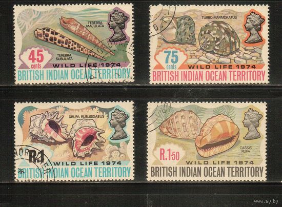 БИОТ(Британские территории  в Индийском Океане)-1974(Мих.59-62) ,гаш. ,  Морская  Фауна ,Раковины (полная серия)
