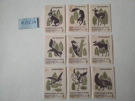 Спичечные этикетки ф.Пинск. Охраняйте животных и птиц. 1969 год