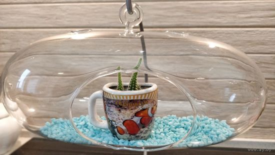 Кашпо стеклянное, - оригинальная форма