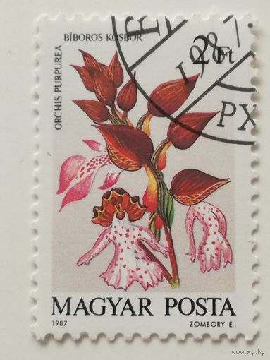 Венгрия 1987. Орхидеи