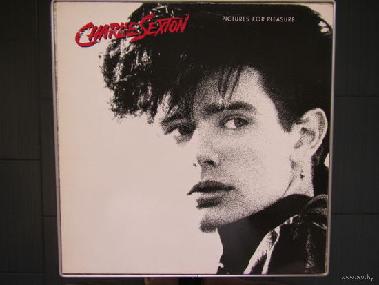 Charlie Sexton - Pictures For Pleasure 85 MCA Germany NM/NM