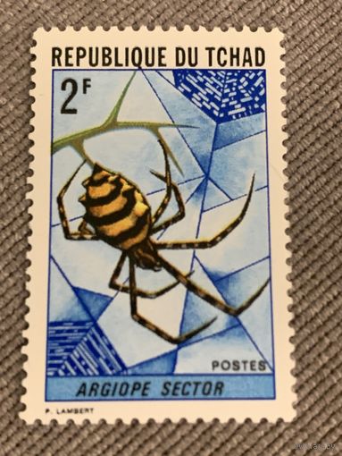 Чад. Жуки. Argiope Sector