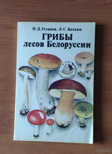 Грибы лесов Белоруссии