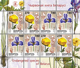 Беларусь. 2003. 507-508. ** Флора Малый лист "Редкие виды цветы, занесенные в Красную книгу Беларуси"