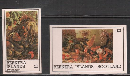Бернера(Шотландские ос-ва)-1982 , ** , Морская Фауна,