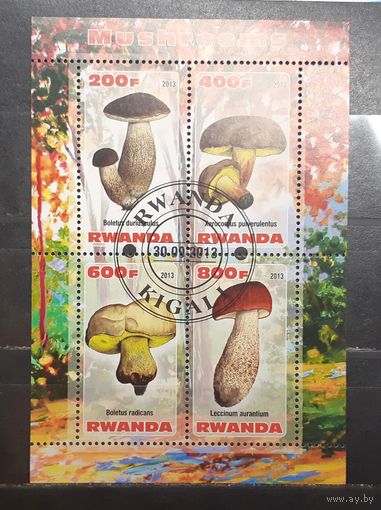 Руанда. 2013 год. Флора. Грибы. Блок (1005)
