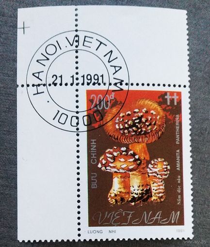 Марка Вьетнам 1991 год Грибы