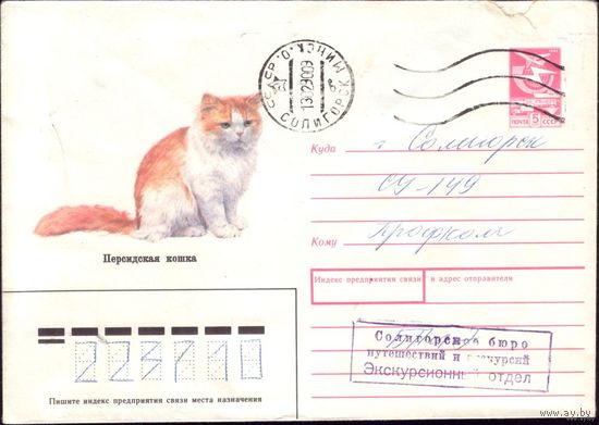 1989 год ХМК Персидская кошка 89-108 3