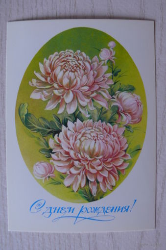 Коробова Н., С днем рождения! 1983, чистая.