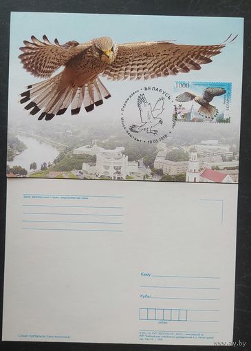 Беларусь 2010 КМ птица года, сокол пустальга .