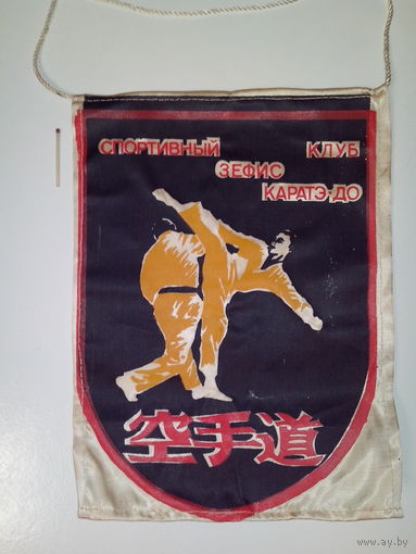 Вымпел. Спортивный клуб "ЗЕФИС".