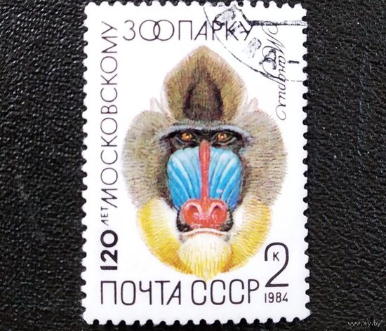 Марка СССР 1984 гол 120 лет Московскому зоопарку