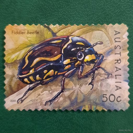 Австралия 2003. Фауна. Жуки. Fiddler Beetle