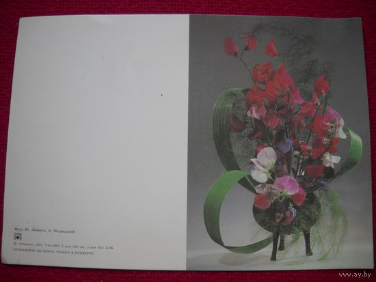 Поздравляю. Левента. Медведевой. 1987 г. Чистая.