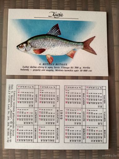 Карманный календарик. Серия Рыбы. Прибалтика. 1989 год