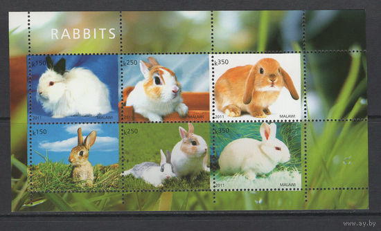Малави 2011** Фауна Кролики