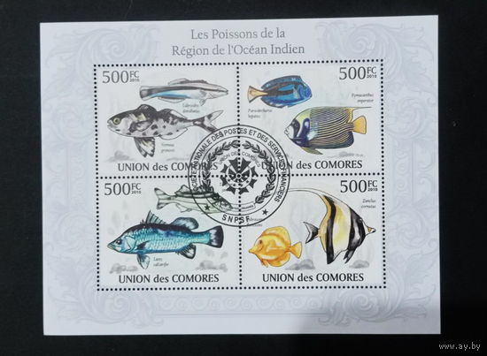 ФАУНА РЫБЫ МОРСКИЕ ОБИТАТЕЛИ    БЛОК  сто