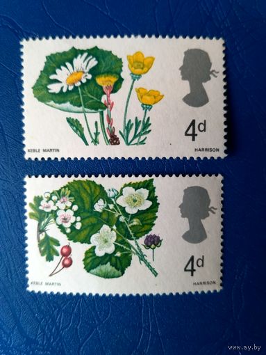 Великобритания. Цветы, растения. Из серии. 1967 (4)