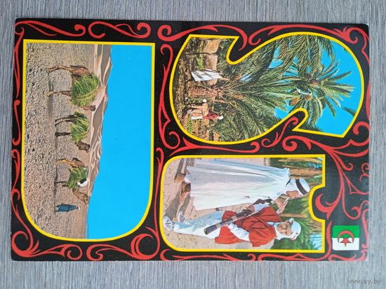 Этнография. Алжир, Юг